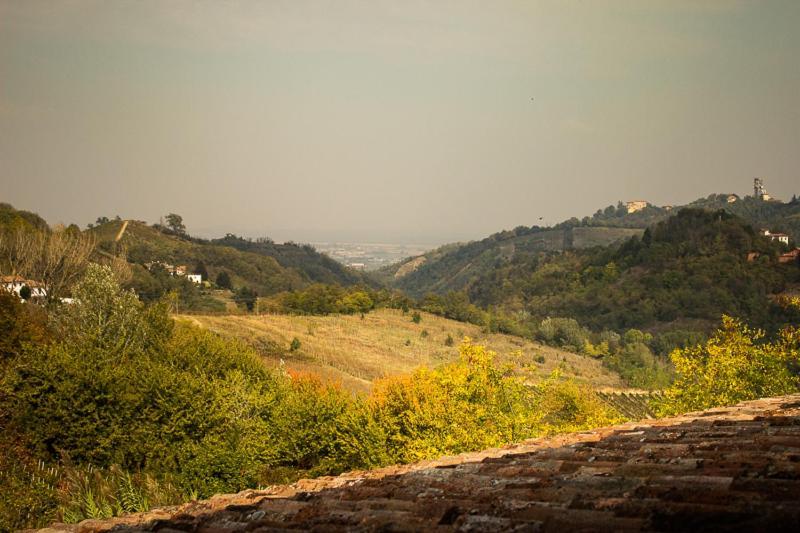 La Vecchia Cantina Stradella